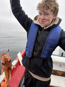 Nice vermilion rockfish from the Pacific City waters! That orange color really pops.