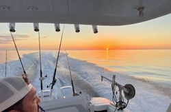 Scenic view of St. Petersburg, Florida with water sports and tours