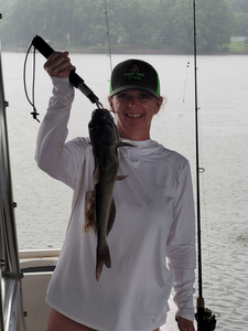 Lake Norman channel catfish makes for an epic catch!