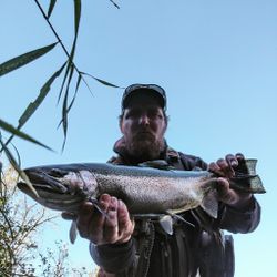 Coho Salmon caught while fishing in WI