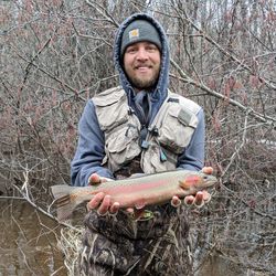 A single rainbow trout caught in Iron River