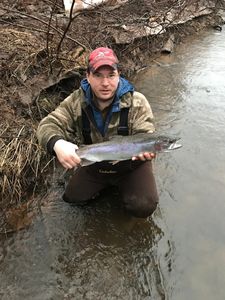 A single rainbow trout caught fishing in Iron River