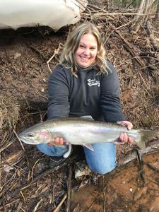 A single rainbow trout caught in Iron River