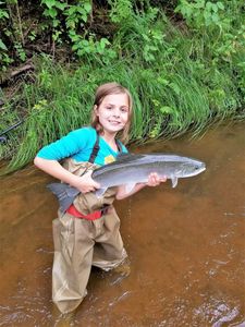 Rainbow Trout caught in WI while fishing