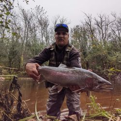 Angler with a big fish caught in Iron River