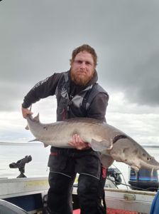 Angler fishing in Iron River