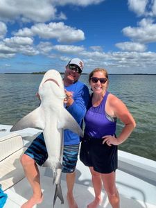 Blacktip shark, a big 37-inch fish, caught while fishing in Saint James City