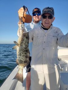 Gag Grouper, 30-inch fish caught while fishing in FL
