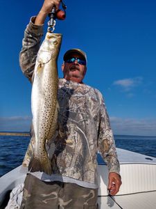 A spotted weakfish measuring 28 inches, caught while fishing in Saint James City