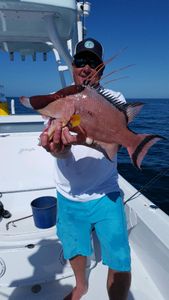 Caught a 21-inch fish while fishing in FL