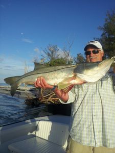 Snook fish caught in FL by fisherman