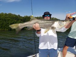 Snook fish caught by angler in Saint James City