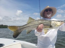 A single snook fish caught in Saint James City