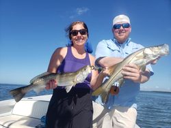 Two Snook fish caught in Florida while fishing