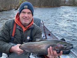 A single rainbow trout caught in Mexico