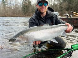 A single rainbow trout caught in NY
