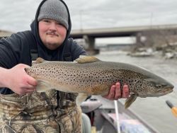 One sea trout caught in Mexico