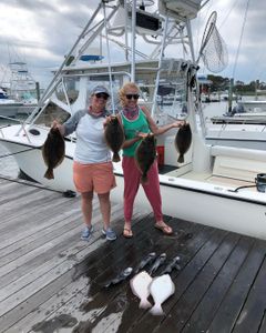 4 summer flounder, 16-inch fishing catch in DE