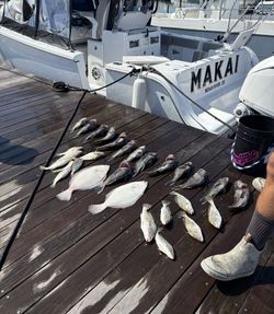 A lone angler fishing in the picturesque DE landscape