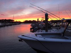Fishing in DE