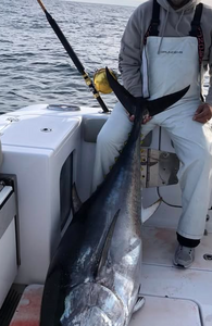 King Mackerel fishing in DE
