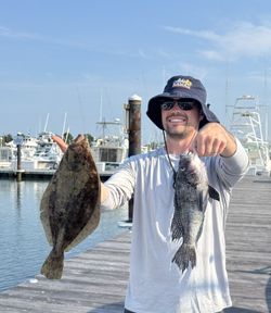 Two sea bass caught while fishing in DE
