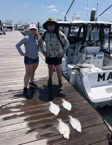 Two Pacific Halibut, 19 inches, caught fishing at Rehoboth Beach