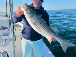 Fisherman catches a striped bass in NJ