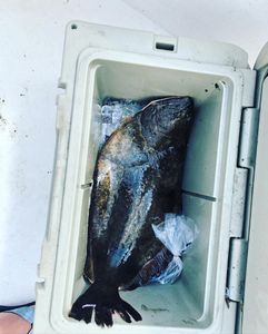 Scenic view of Keansburg coastline during a fishing trip