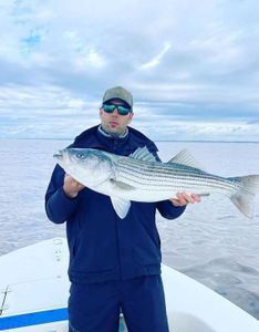 A striped bass measuring 33 inches caught in Keansburg while fishing