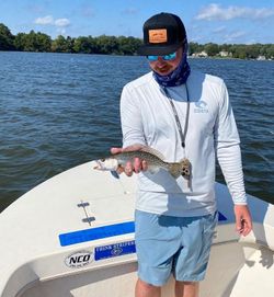 Photo of a 11-inch Spotted Weakfish caught while fishing in Keansburg