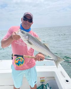 Striped bass caught by angler in New Jersey