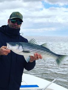Striped bass caught while fishing in NJ