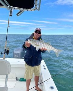 Striped bass caught on fishing trip in NJ