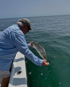 Striped bass caught while fishing in Keansburg