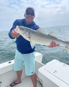 Striped bass caught by person in Keansburg