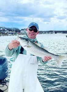 Striped bass caught by angler in New Jersey