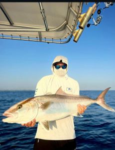 Fish-Species