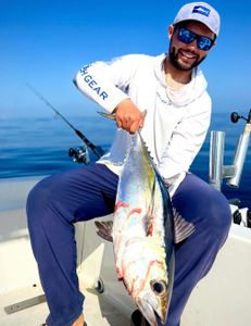 Fish-Species
