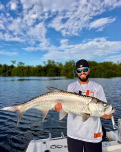 Tarpon fishing in San Juan