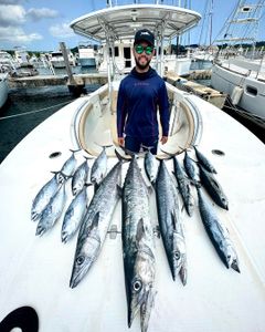 6 king mackerel and spotted weakfish caught in PR