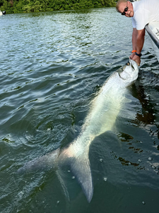 Large fish caught in PR