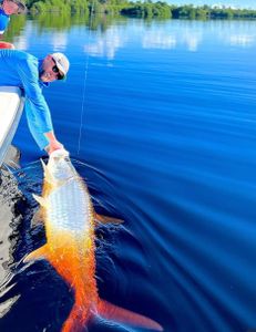 Fish-Species