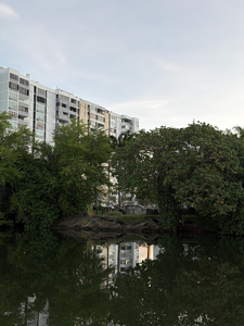 Perfect conditions for jigging and fly fishing with light tackle in San Juan.