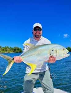 Jack Crevalle gave a proper fight today
