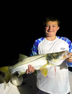 Fish-Species