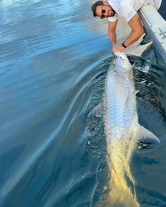 A fishing trip in PR
