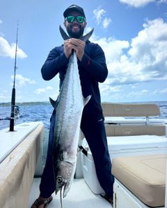 Photograph of a king mackerel, a 35-inch fish caught while fishing in PR.