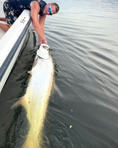 Ladyfish caught in the waters of San Juan