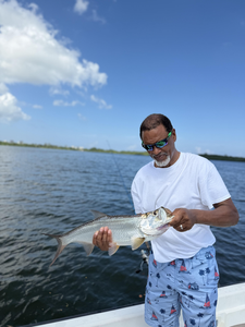Nice tarpon on light tackle in San Juan today!